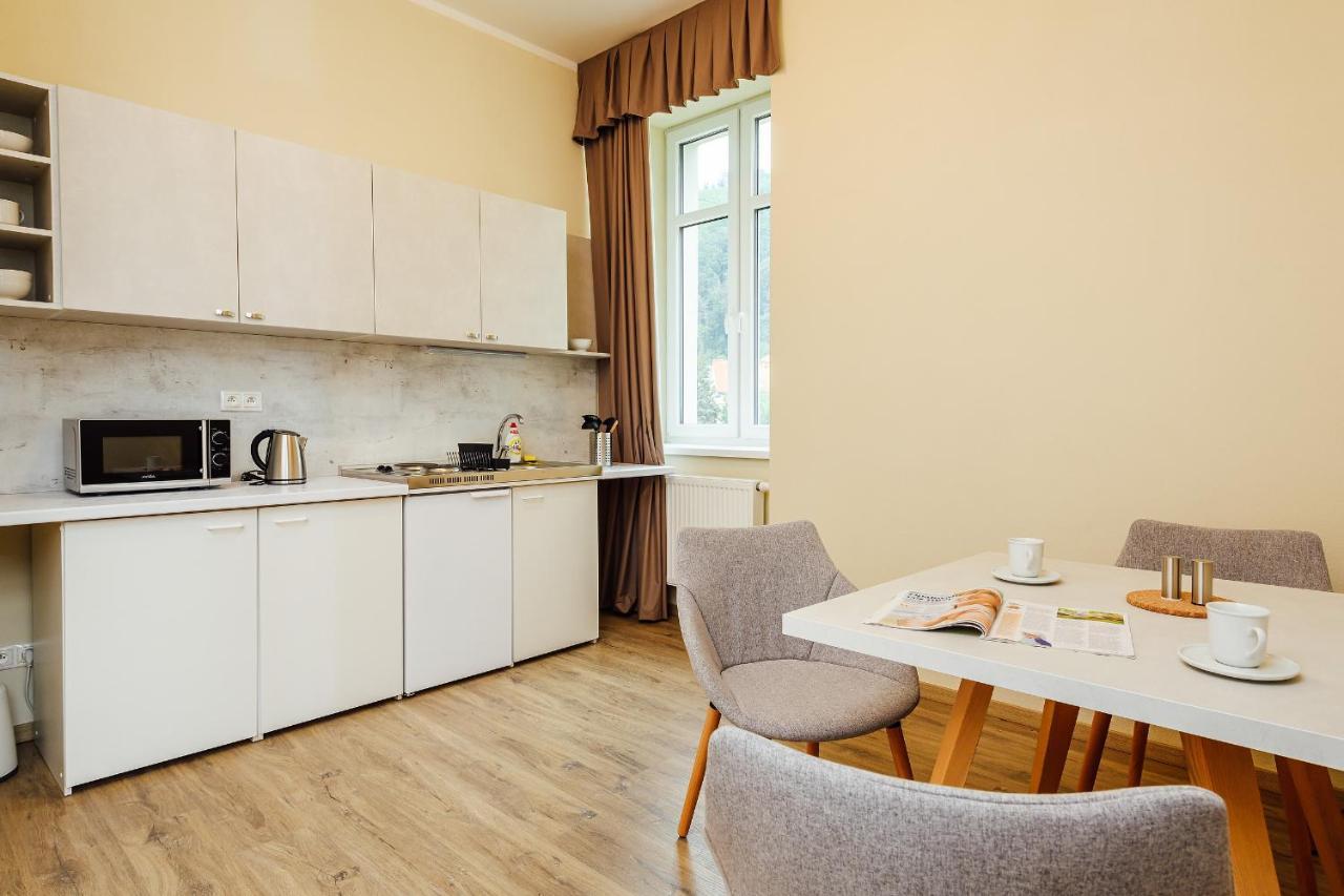 Apartmanovy Dom Grand - Contactless Check In Тренчианске-Теплице Экстерьер фото